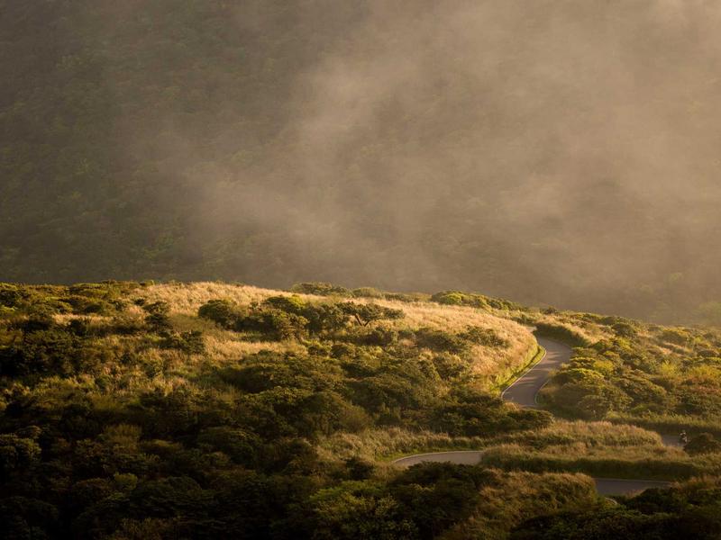 sudoku nature theme screenshot 2